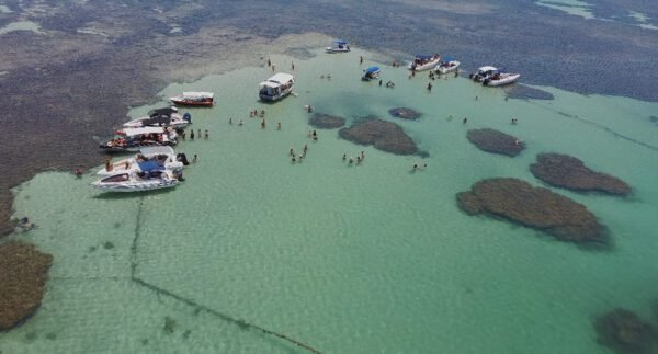 PASSEIO DE LANCHA VOLTA À ILHA - Image 5